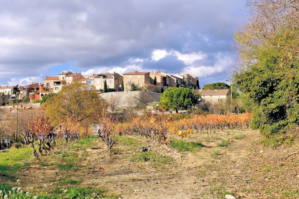 Les vignes du Castellet