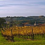 Les vignes du Château de Mons (Caussens) -- Die Weinberge des Château de Mons (Caussens)