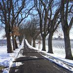 Les vignes du Château de Mons sous la neige -- Caussens, Gers