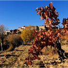 Les vignes du Seigneur.