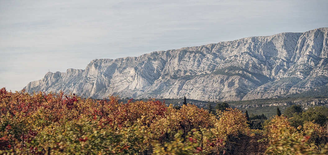 Les vignes rousses