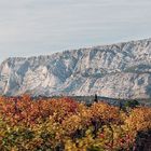 Les vignes rousses