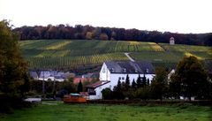 Les vignobles de Schengen