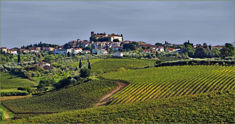 les vins des médicis ....