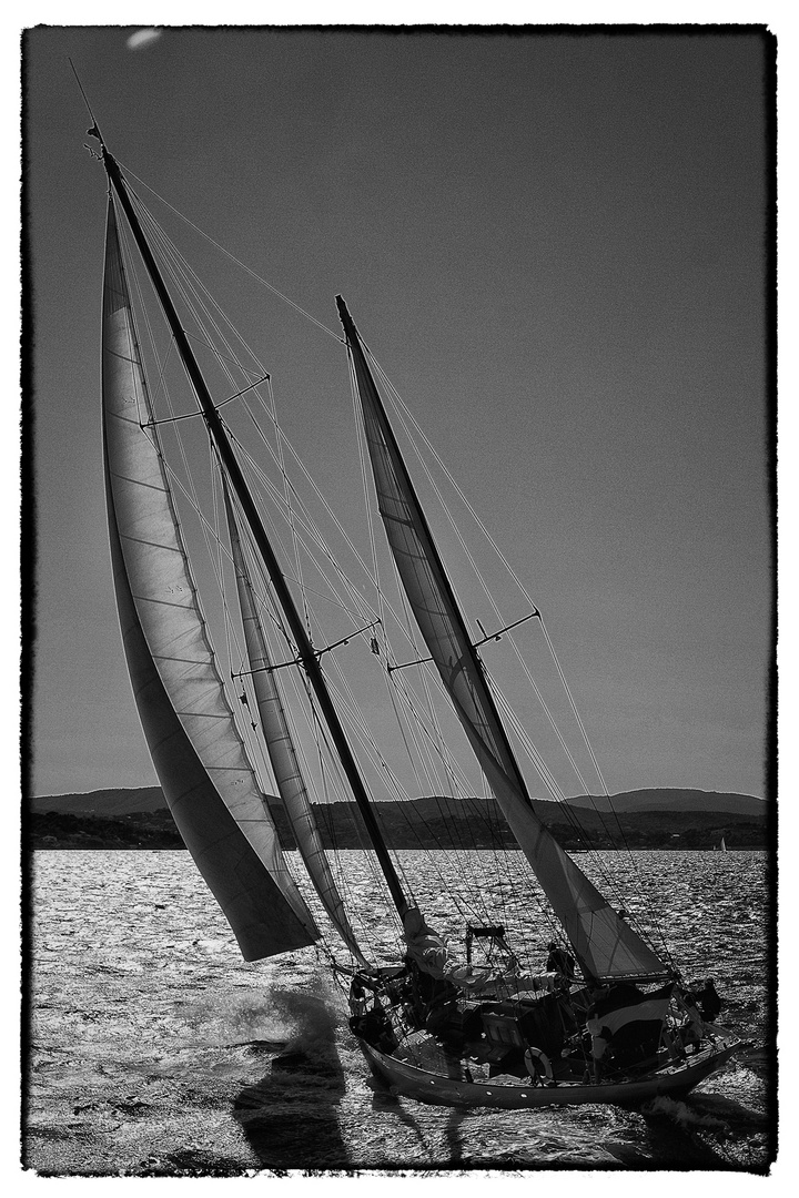 les voiles 2010