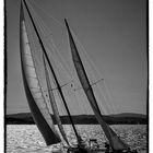 les voiles 2010