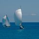 les voiles 2013 n4