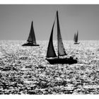 Les voiles