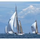 Les Voiles d'Antibes 2010