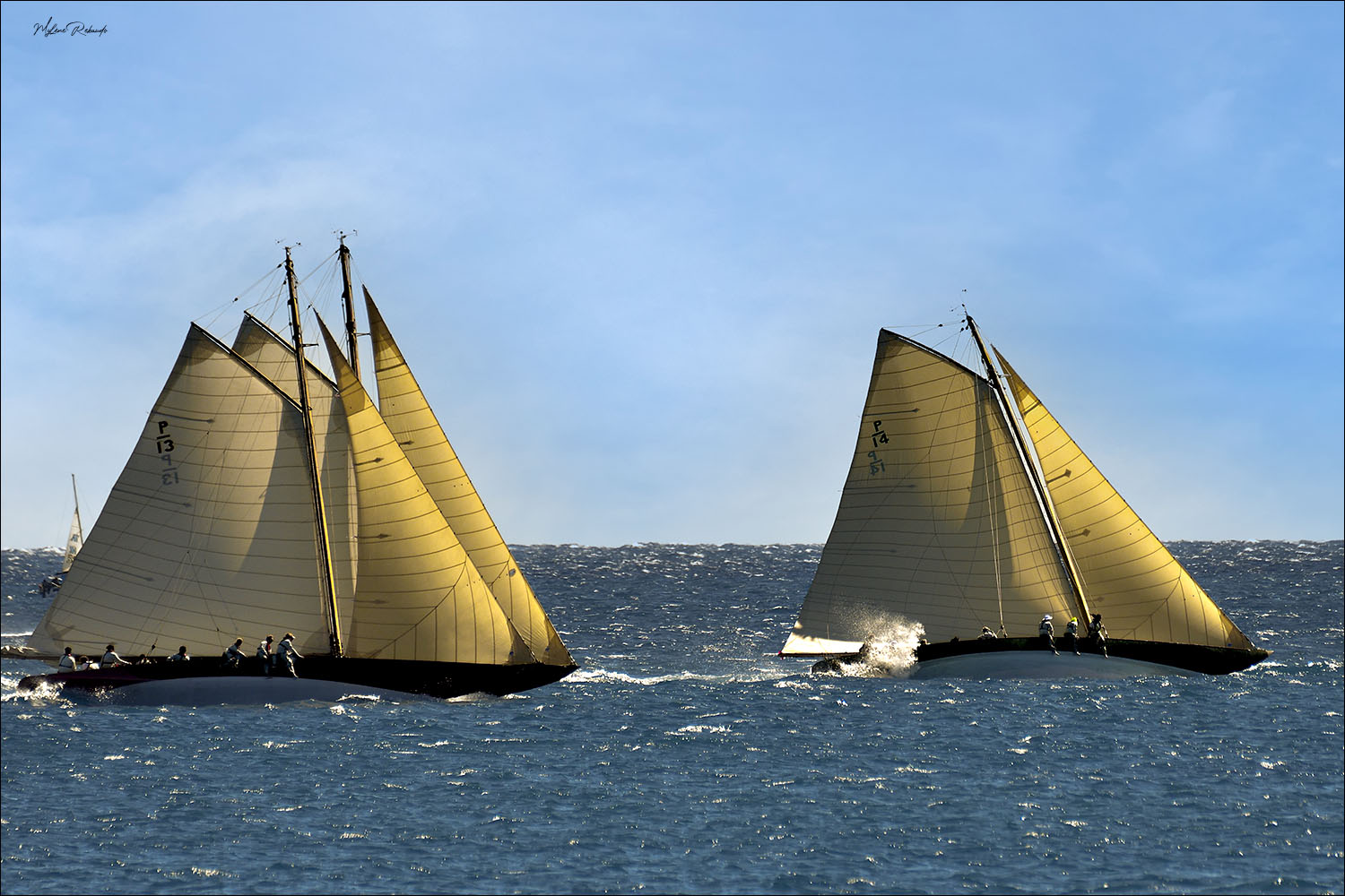 Les voiles d'Antibes