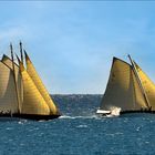 Les voiles d'Antibes