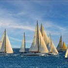 Les voiles d'Antibes