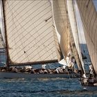 Les voiles d'Antibes 