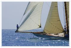 Les Voiles d'Antibes: Mariska