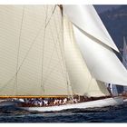 Les Voiles de Saint-Tropez 2009