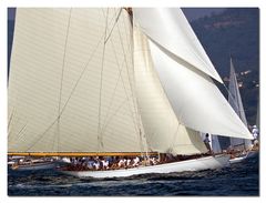 Les Voiles de Saint-Tropez 2009