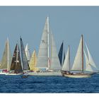 Les voiles de Saint-Tropez