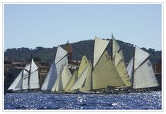 Les Voiles de St Tropez