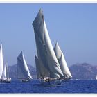 Les Voiles de St Tropez