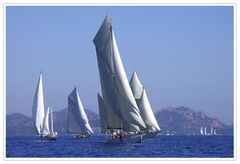 Les Voiles de St Tropez