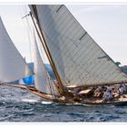 Les Voiles de St Tropez: Fyne