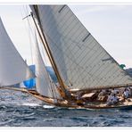 Les Voiles de St Tropez: Fyne