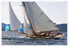 Les Voiles de St Tropez: Fyne