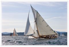 Les Voiles de St Tropez: Fyne und Lulworth