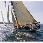 Les Voiles de St Tropez: Partridge