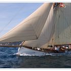 Les Voiles de St Tropez: Partridge