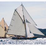 Les Voiles de St Tropez: Partridge und Eileen