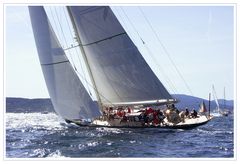 Les Voiles de St Tropez: Shamrock IV