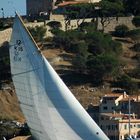 Les Voiles de St. Tropez - Wings