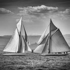 Les Voiles de St.Tropez