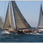 Les Voiles du Vieux Port Marseille