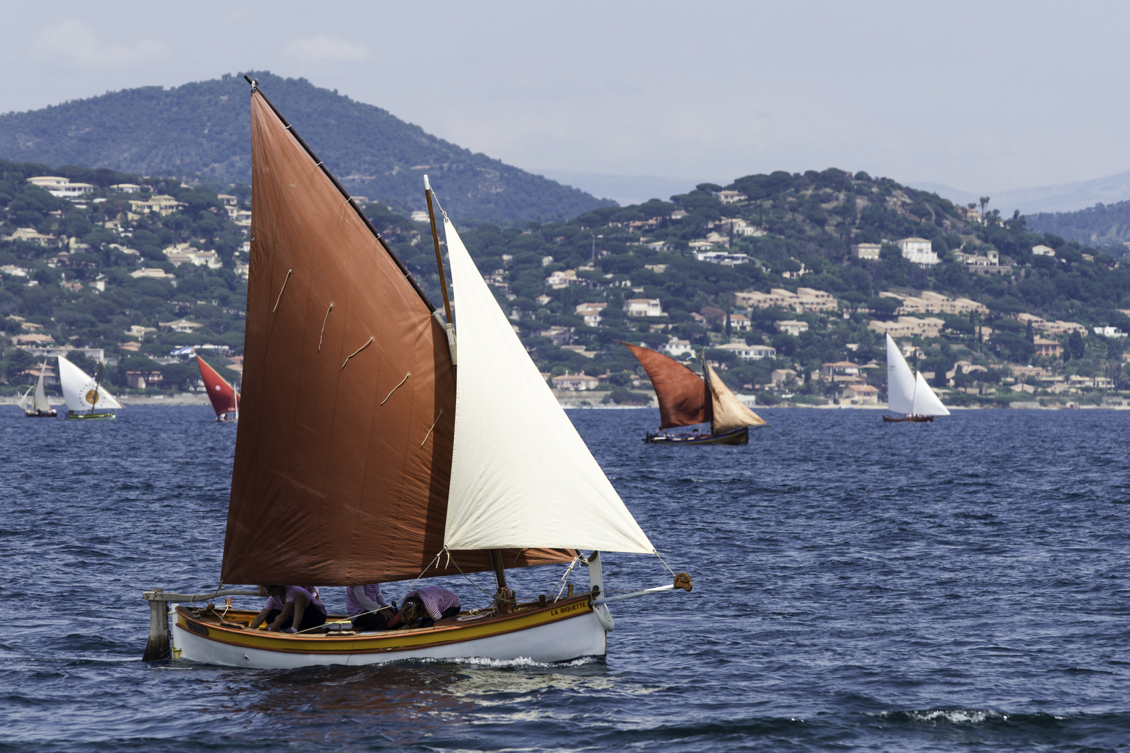 Les Voiles Latins