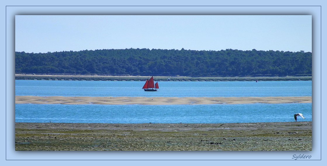 Les voiles rouges