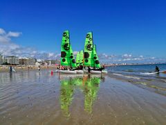 les voiles vertes