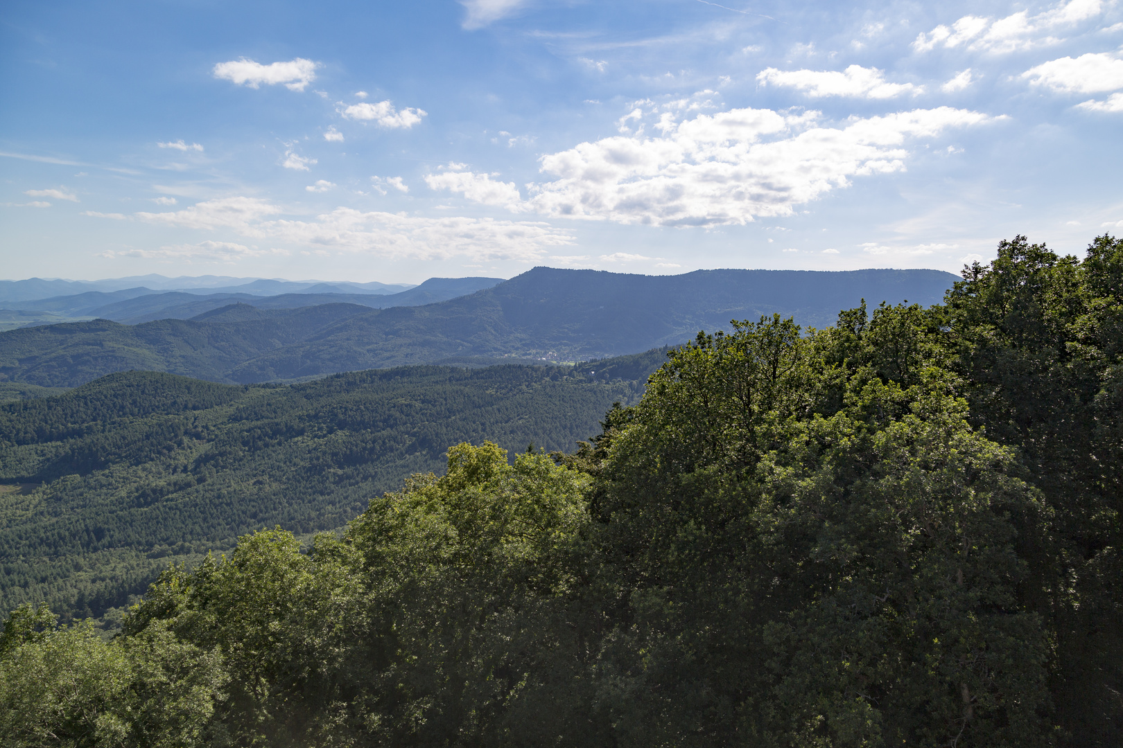 les vosges