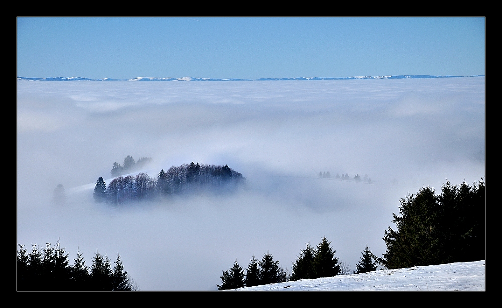 les vosges