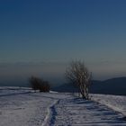 les Vosges avec au loin les Alpes suisses