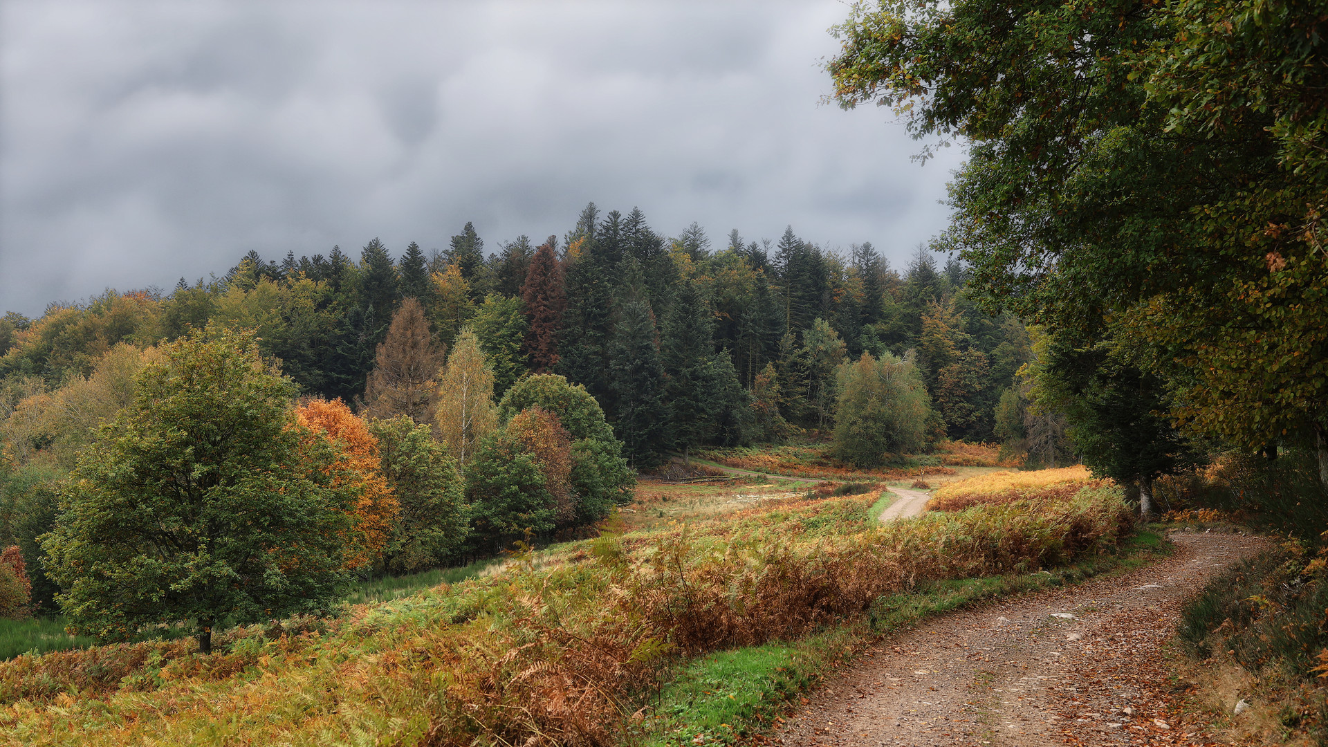 Les Vosges