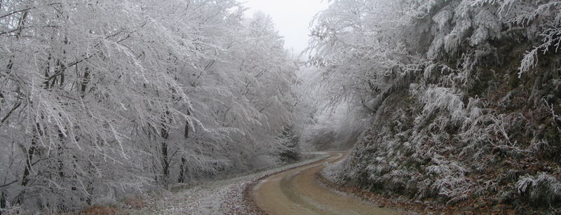 Les Vosges en Hiver