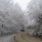 Les Vosges en Hiver