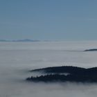 Les Vosges et la Forêt Noire