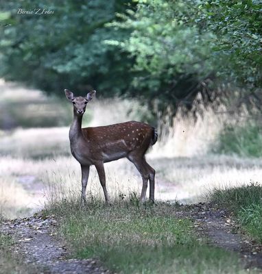 Les yeux dans les yeux