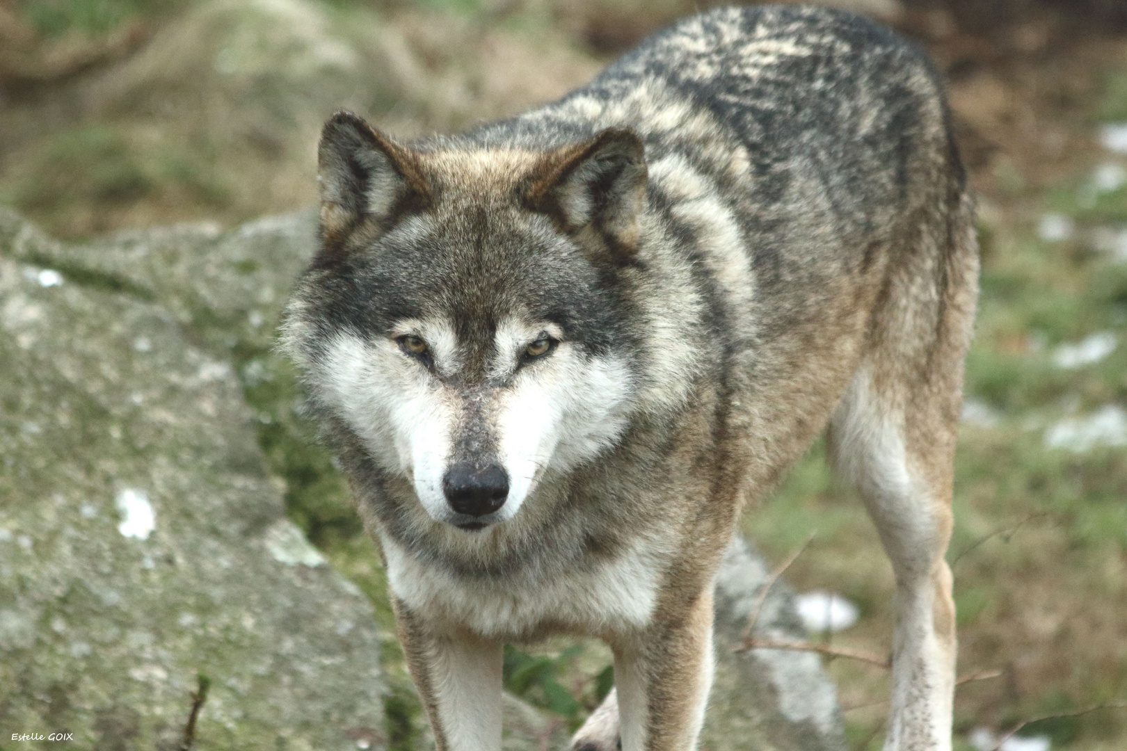 Les yeux dans les yeux (2) !