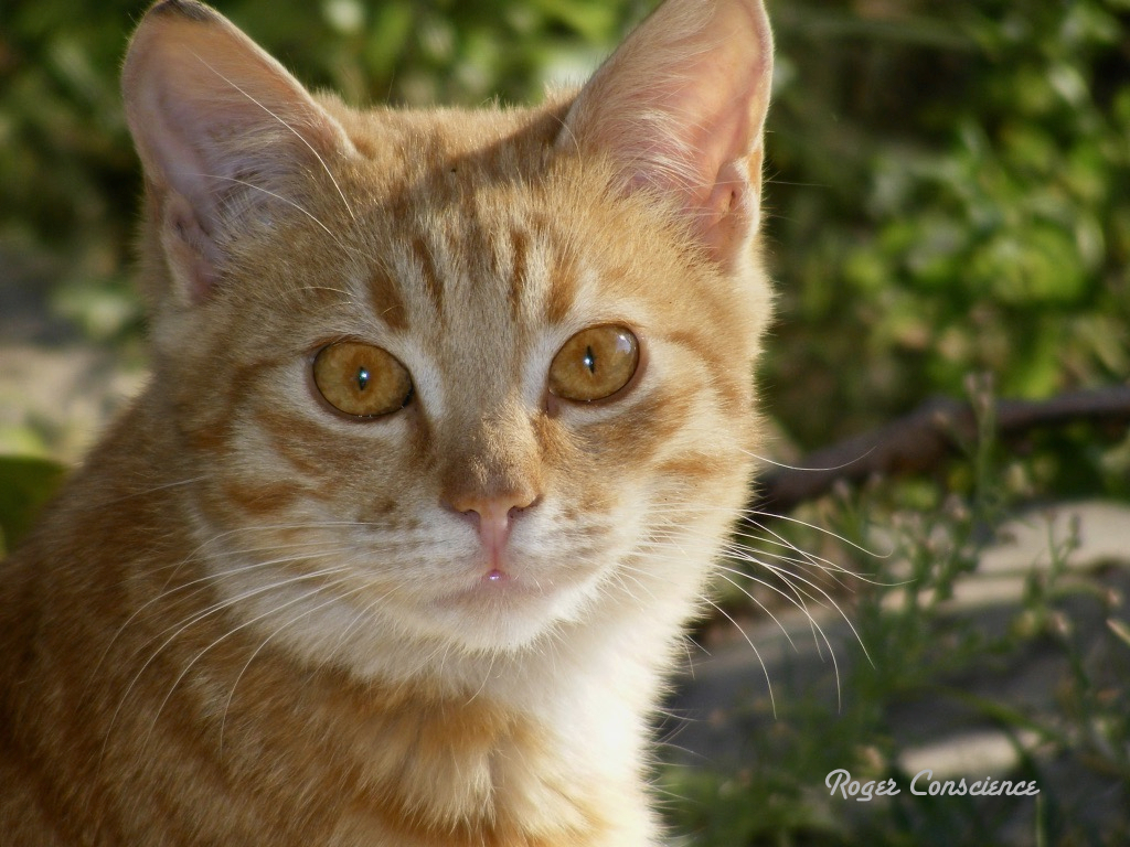 Les yeux dans les yeux