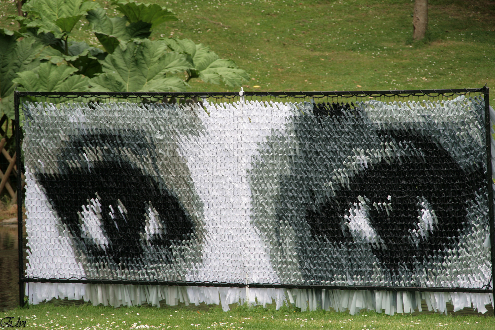 Les yeux de Barbara