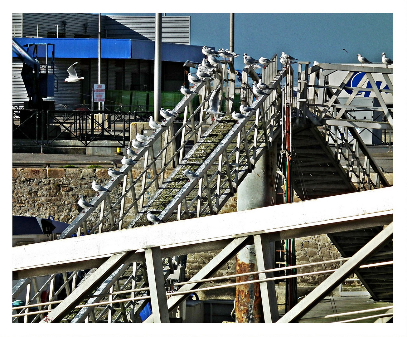 l'escalator 